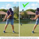 MASTER CLUB 이미지