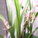 부평연세내과의원 이미지