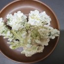 하이롤러 이미지