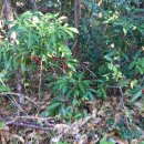 제주권역재활병원 이미지