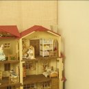 스테이마레 이미지