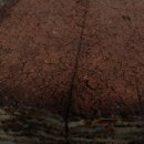 최강공인중개사사무소 이미지