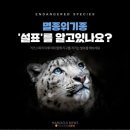 자신감 향상 키즈 스피치 이미지