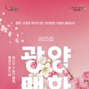 매화 티스토리