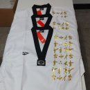 한국체대 태권스쿨 이미지