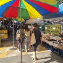 유성대로(유성-31) 이미지