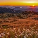 황매산장대 이미지