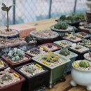 인천대공원(정문) 이미지