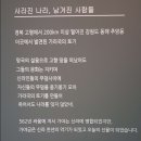 가야1동-6 | 부산박물관 가야본성 칼과 현 특별전-가야의 정신과 문화적 자존감을 엿보다