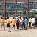 내기초등학교 이미지