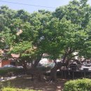 임진어린이공원 이미지