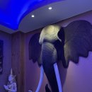 캠퍼스질러존 이미지