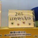바이제주 | 제주도 제주시 소품샵 추천, 감성 가득한 ‘바이제주’ 방문 후기