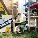 옹기종기 이미지