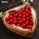 싱싱푸드 이미지