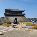 장안청소년문화의집 | 수원문화재단 야외방탈출 미션 추리게임 수원 화성의 비밀 : 사라진의궤 후기