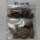 솔숲농원 이미지