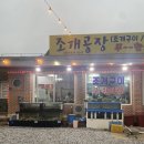 극 J가 선택한 강릉 갓성비 조개구이 맛집 조개공장 내돈내산 솔직 후기