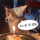 12월의 기적 ?