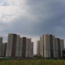 월송흥화하브 이미지