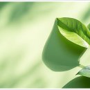 플랜에이치광교호수 네이버블로그