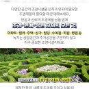안양진정형외과의원 이미지