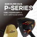 피닉스파크골프 - 북구 첨단과기로208번길 43-10 | 피닉스파크골프
