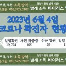 늘푸른크린