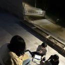 낭만과순정 이미지