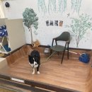 원반농장 이미지