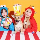 시니유통