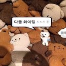 피티웨이 | 웨이마크 커리어 진단 내돈내산 | 직무 적합도 검사받아 본 후기