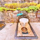 대원사계곡 이미지