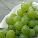 예은농장 이미지