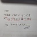 미미짱