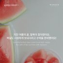 위닛 하단점