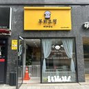 부티크멍 애견미용실 | 부티크멍 | 부천애견미용샵에서 장모치와와 전체미용 후기🐶