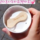 지에스(GS)25 대구비산그린점 네이버블로그