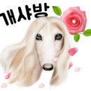 수제갈비도담 이미지