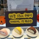더바움 이미지