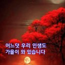 "'성남누비길' 1구간의 일부와 '남한산성 역사테마길' 1코스 탐방"＜2023.11.21(화)＞ 이미지