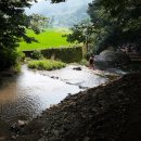 천탑마을 이미지