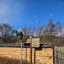 함라노소경로당 이미지