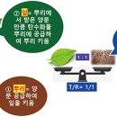 뿌리와열매
