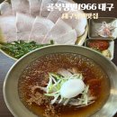 1966 | 대구냉면맛집 골목냉면1966 대구 물냉면 냉제육 솔직후기