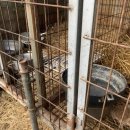 인식농장 이미지