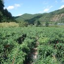 두물농원 이미지