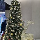 (주)에이더블유호텔 | 강릉 정동진 근처 가성비 호텔 솔라뷰호텔&amp;리조트 아이랑 1박 후기 조식 샌드위치