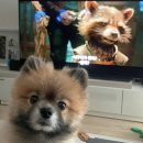 무아지경 이미지