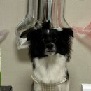 쏘스윗공방 이미지